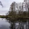 В январском унынии... :: Николай Гирш