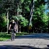 Хорошо в парке... :: Николай Саржанов