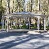 В Лиственничном парке :: Gen 