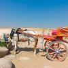 Перекус :: Ольга