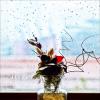 Композиция :: Валентина *