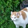 охотник :: nataly-teplyakov