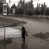 Ливень в Городе :: Алексей Трифонов