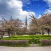Весна в Таллине :: Aare Treiel