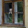Слышь, братан..! Закурить есть..? :: Роман Пацкевич