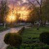 Золотое время суток :: Роман Савоцкий