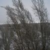 ледяной день :: Елена Шаламова