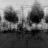 . :: anton laba 