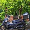 СКУТЕР Honda Airblade 160 :: Анатолий Малобродский