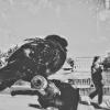Утро. Голуби. И люди. :: Наталья Сафронова