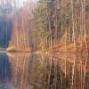 В утреннем свете............. :: Юрий Цыплятников