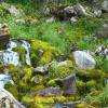 Природа Алматы :: Savayr