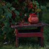С красной смородиной... :: Liliya 