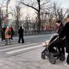 *** :: Владимир Захаров