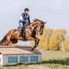 Кросс :: SanSan 