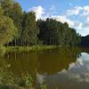 * * * :: Андрей Лукьянов