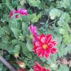 Ак Булак. :: Murat Bukaev 