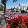 Лето в городе :: Татьяна Машошина