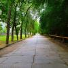 Феодосия. Улица Курортная летом. :: Пётр Чернега