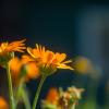 Природа :: Yuriy V