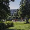 Повседневная жизнь :: Николай