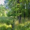 Природа :: Yuriy V