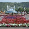 Городской парк 2012 год . :: tatyana 