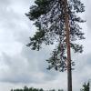 Природа :: Наталья Герасимова