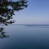 Море. :: Александр. AVG100 ---