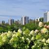День августа :: Лариса С.