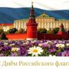 С праздником! :: Елена Сухорученкова