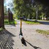 Я буду ждать :: Дмитрий Костоусов