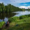 На озере в Сормово, Нижний Новгород :: Александр Синдерёв
