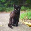 КоТоГраФия :: Константин Сафронов