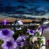 Кострома :: Татьяна Линенко