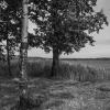 Пейзаж :: Николай 