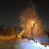 утро :: петроф 