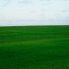 Почти как Windows XP :: Иван Генералов