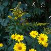 Природа :: Валентина Береснева
