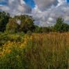 Ранняя Осень 2. :: Андрей Дворников