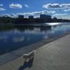 Моя Москва :: Андрей Лукьянов