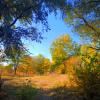 Кубань река лес осень красный вид 🍁🍂🍃 :: Вячеслав Коломойцев
