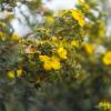 Природа :: Yuriy V