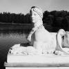 Красота в камне. :: Василий Палий