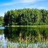 Смоленская осень. :: Владимир Алексеевич Милешкин