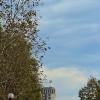 Остаток летнего неба :: Катя Гракова