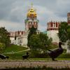 "Дорогу утятам" :: Анастасия Смирнова