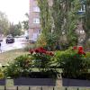 осень :: Венера Чуйкова