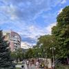 Сквер в центре. :: Александр Кондаков