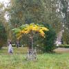 в парке :: Венера Чуйкова